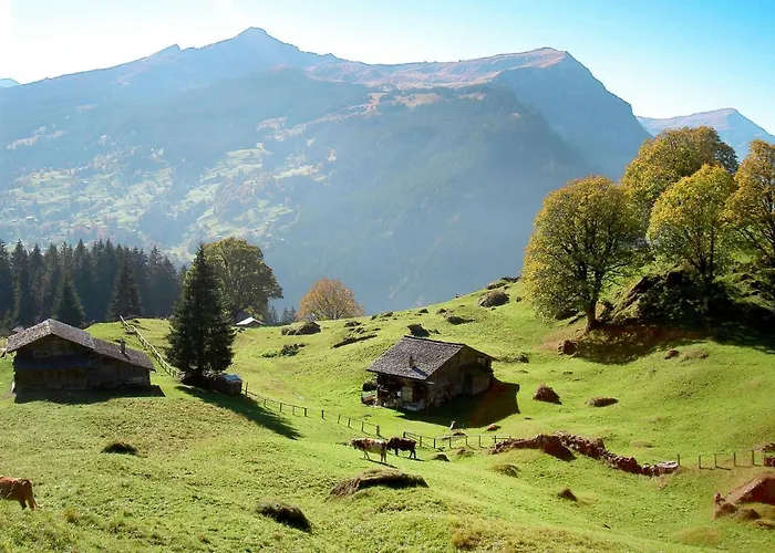 Appartement Schwendi 3 By Interhome *