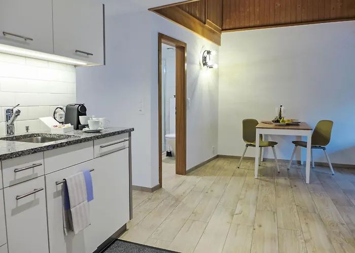 Schwendi 3 By Interhome * Grindelwald